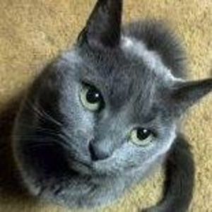 Meet your Posher, Ronald